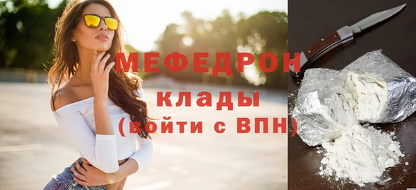 гашик Каменка