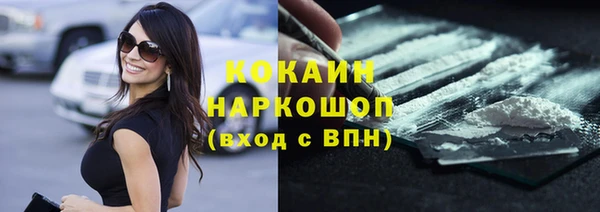 гашик Каменка