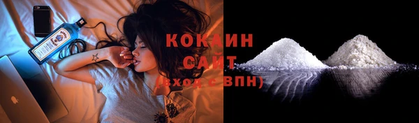 гашик Каменка