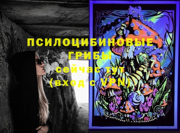 винт Каменногорск