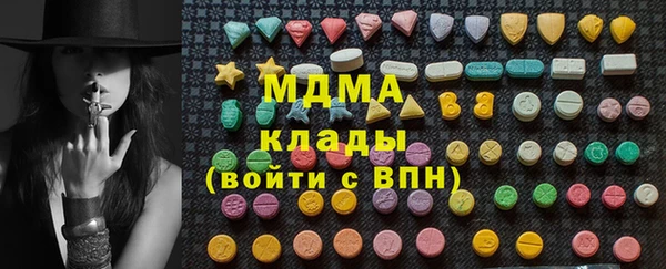гашик Каменка