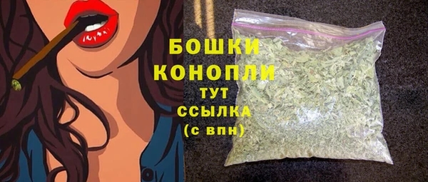 гашик Каменка
