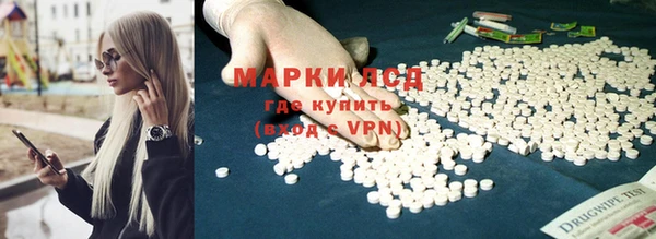 гашик Каменка