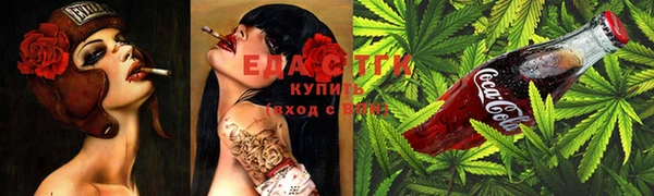 гашик Каменка
