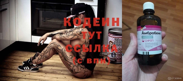 гашик Каменка
