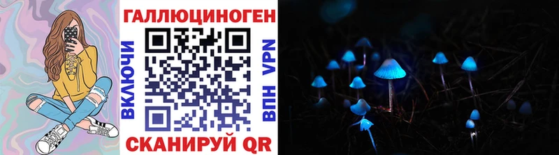 где купить наркоту  Армавир  Псилоцибиновые грибы мицелий 
