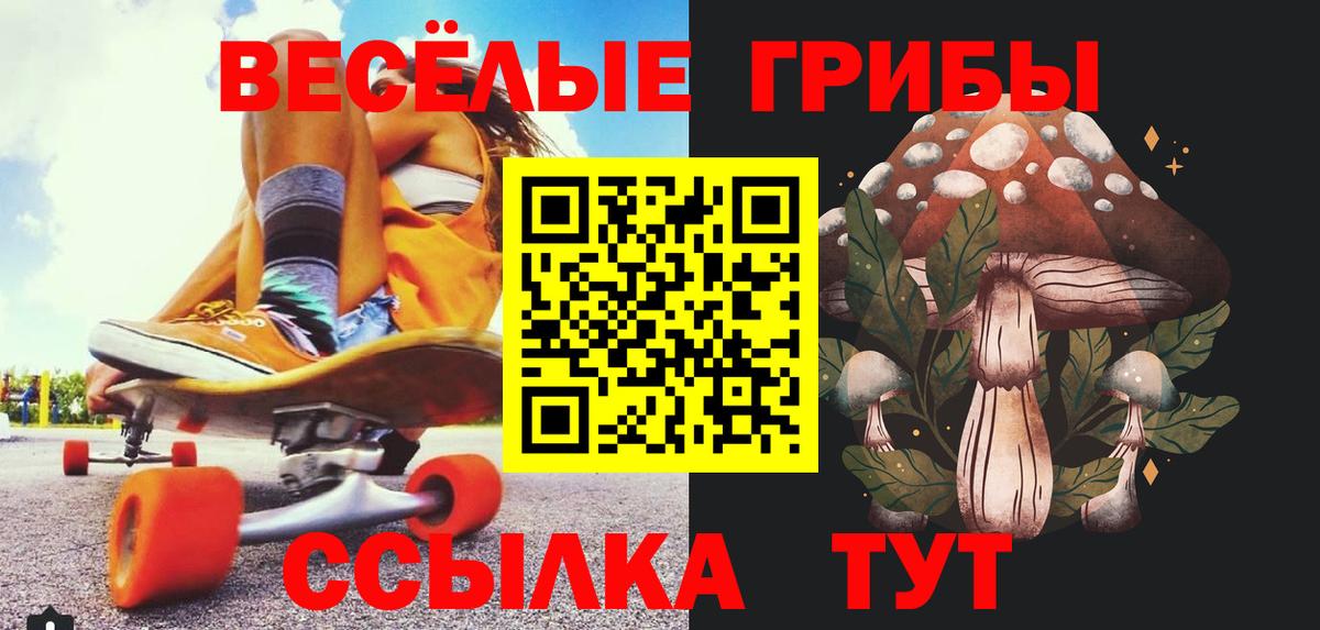 Псилоцибиновые грибы мицелий Армавир
