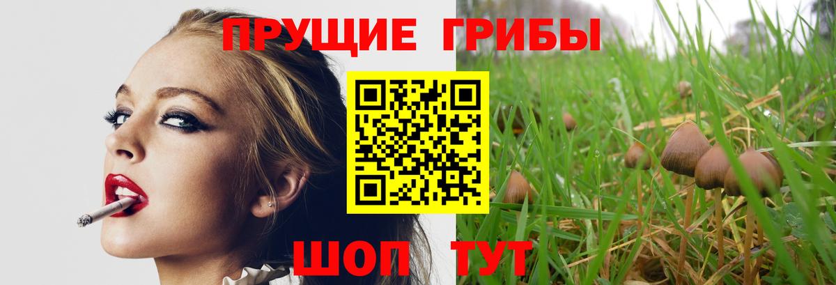 Армавир  Галлюциногенные грибы MAGIC MUSHROOMS  Вход с VPN 